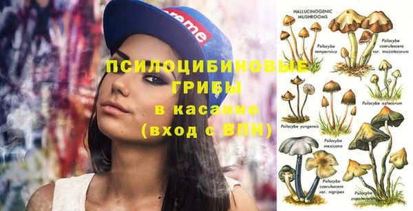 амф Алзамай