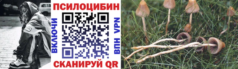 mega маркетплейс  Собинка  Псилоцибиновые грибы Psilocybe 